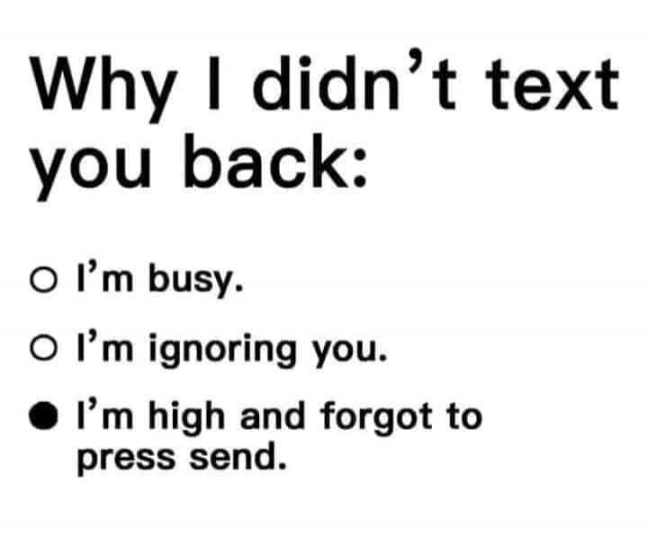 Why I didn't text you back: O I'm busy. O I'm ignoring you. ● I'm high and forgot to press send.