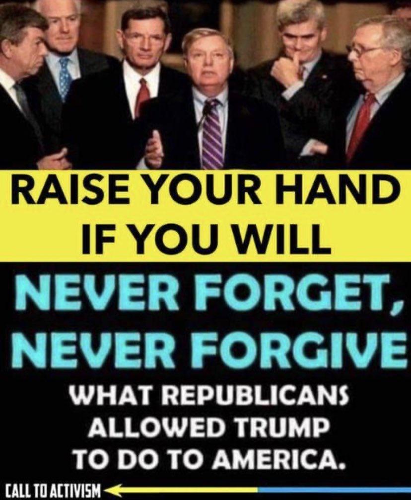 4 et RAISE YOUR HAND IF YOU WILL NEVER FORGET NEVER FORGIVE WHAT REPUBLICANS ALLOWED TRUMP TO DO TO AMERICA CALLTOACTIVISM