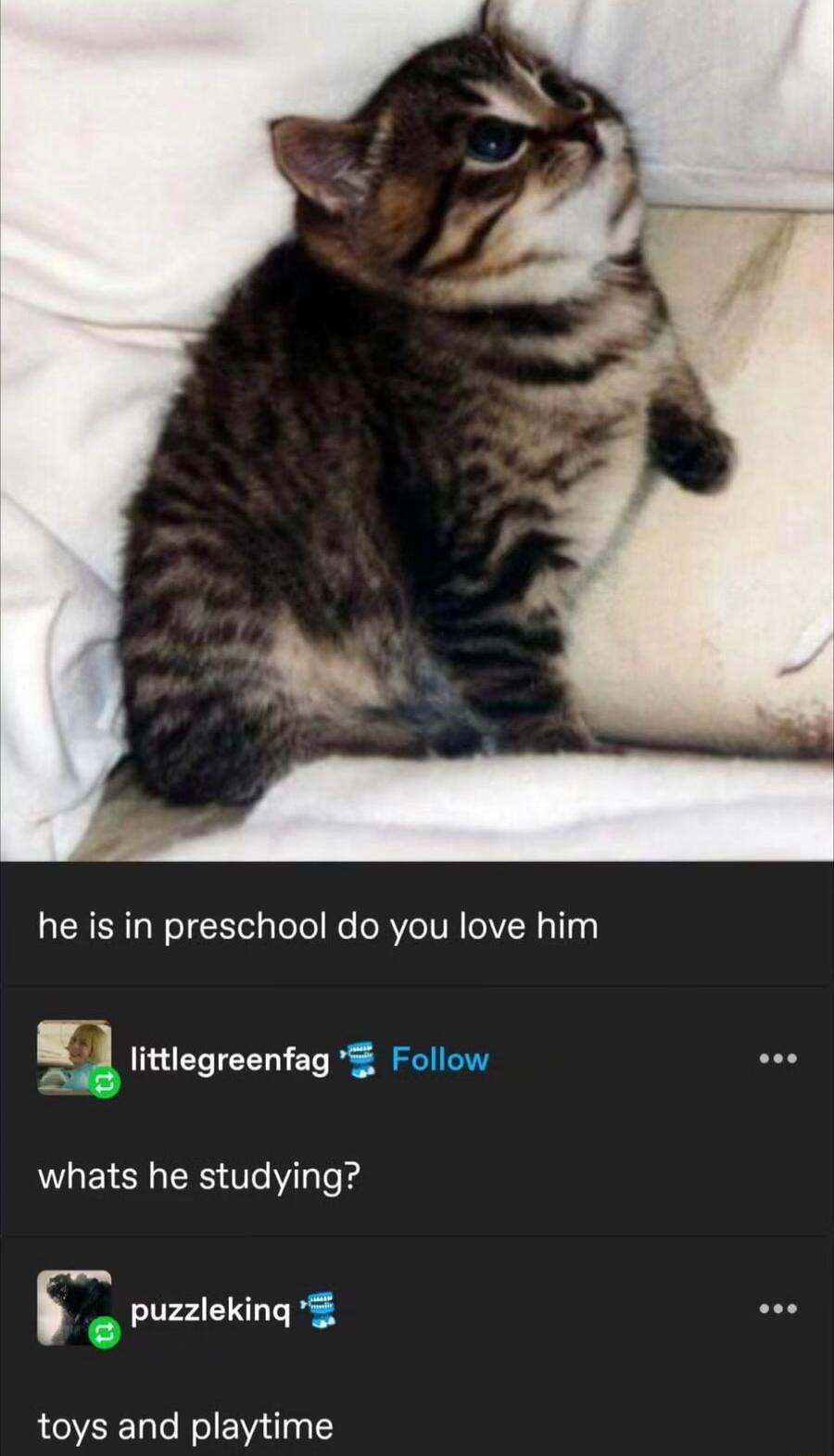 he is in preschool do you love him N littlegreenfag Follow whats he studying puzzleking toys and playtime