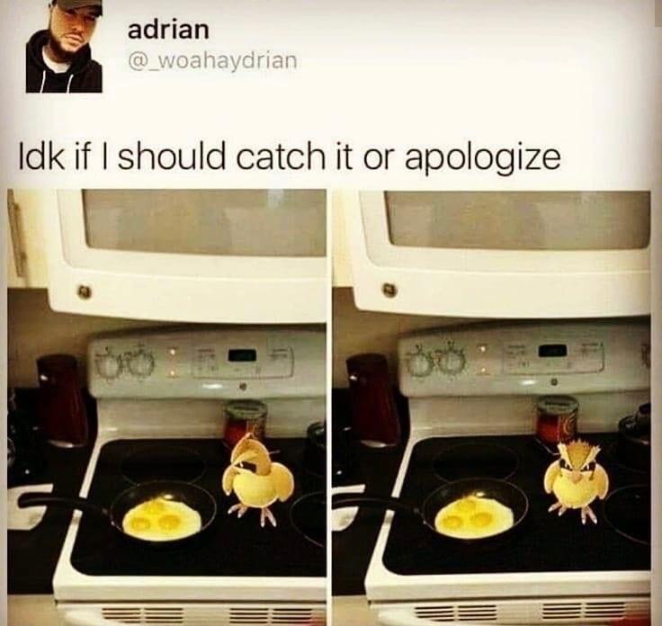 4 n adrian Idk if I should catch it or apologize