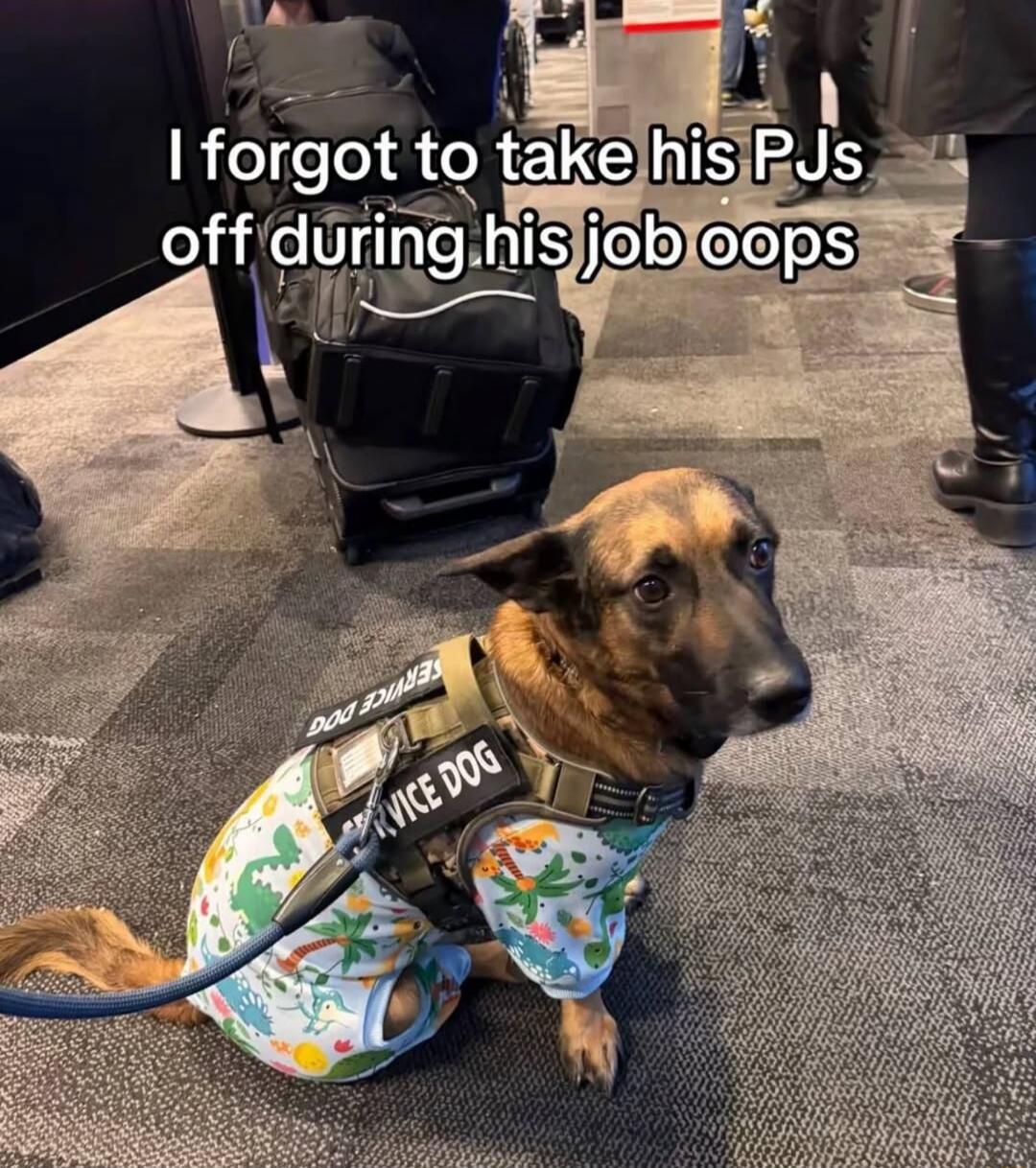 I forgot to take his PJs off during his job oops