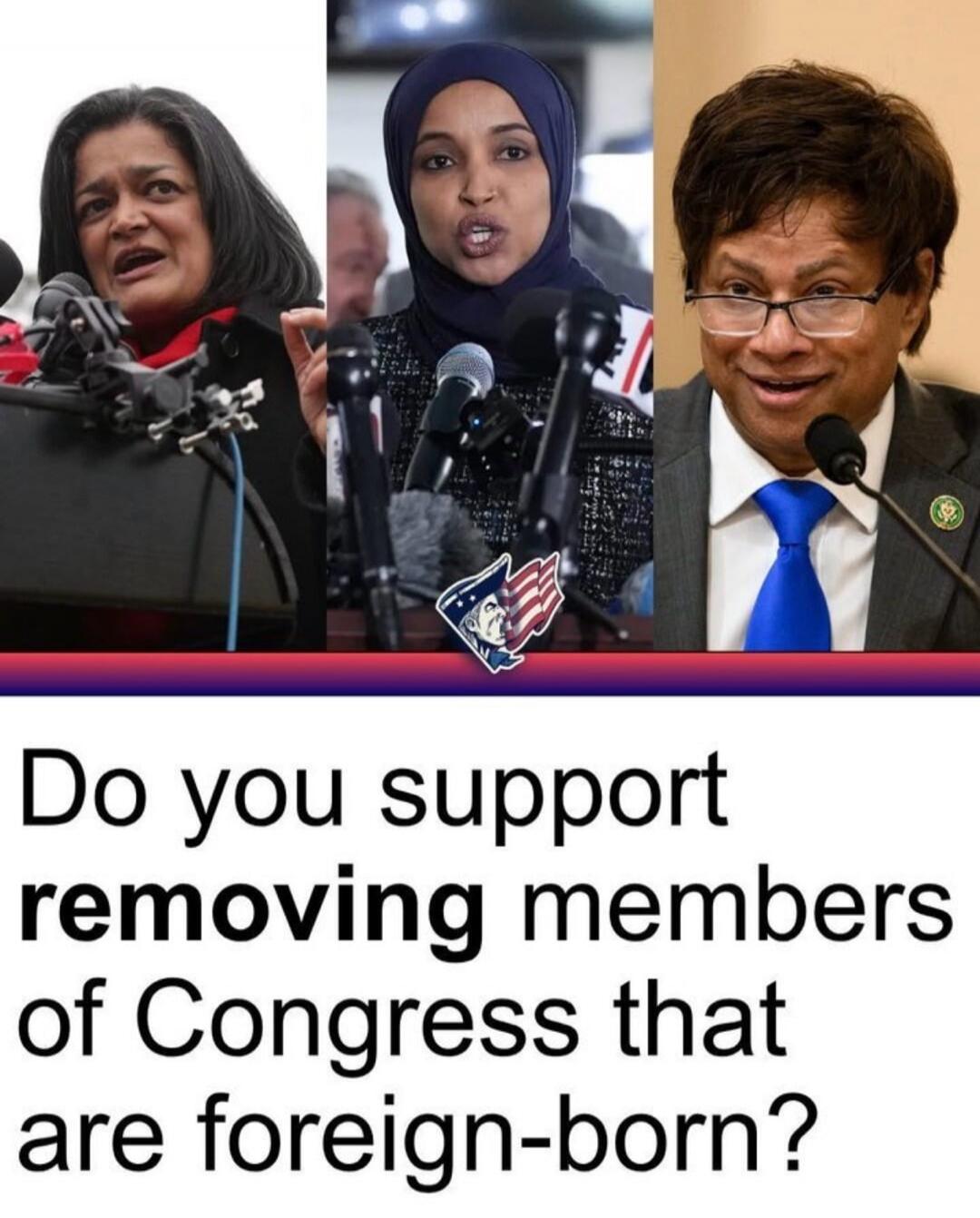 Do you support removing members of Congress that are foreign-born?