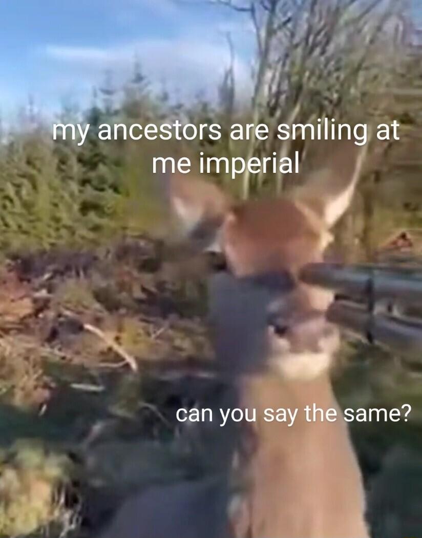 ancestors are smiling at me impgrial 5 4 4 N d can you say thesame