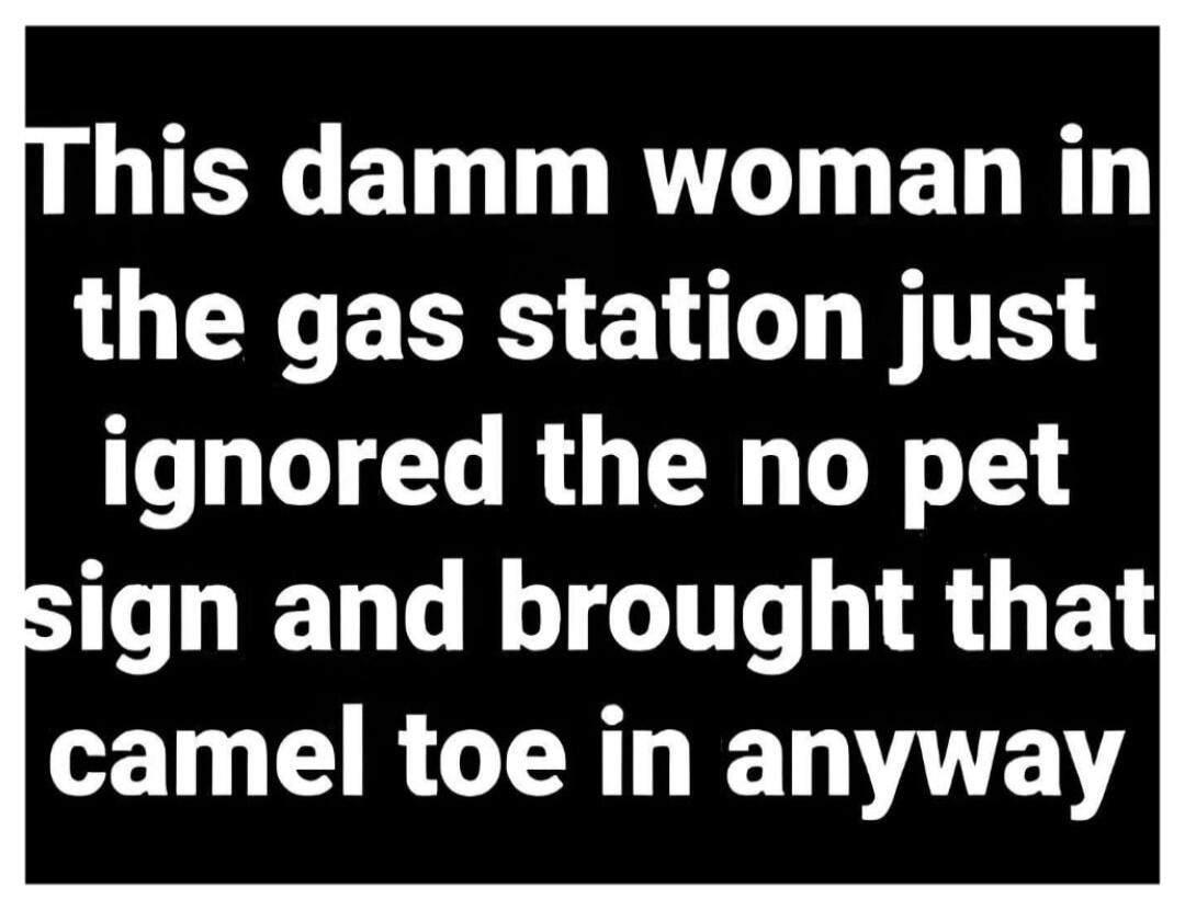 This damn woman in the gas station just ignored the no pet sign and brought that camel toe in anyway