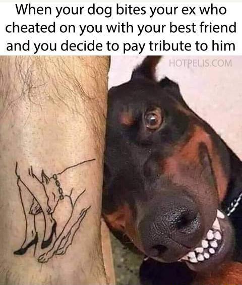 When your dog bites your ex who cheated on you with your best friend and you decide to pay tribute to him