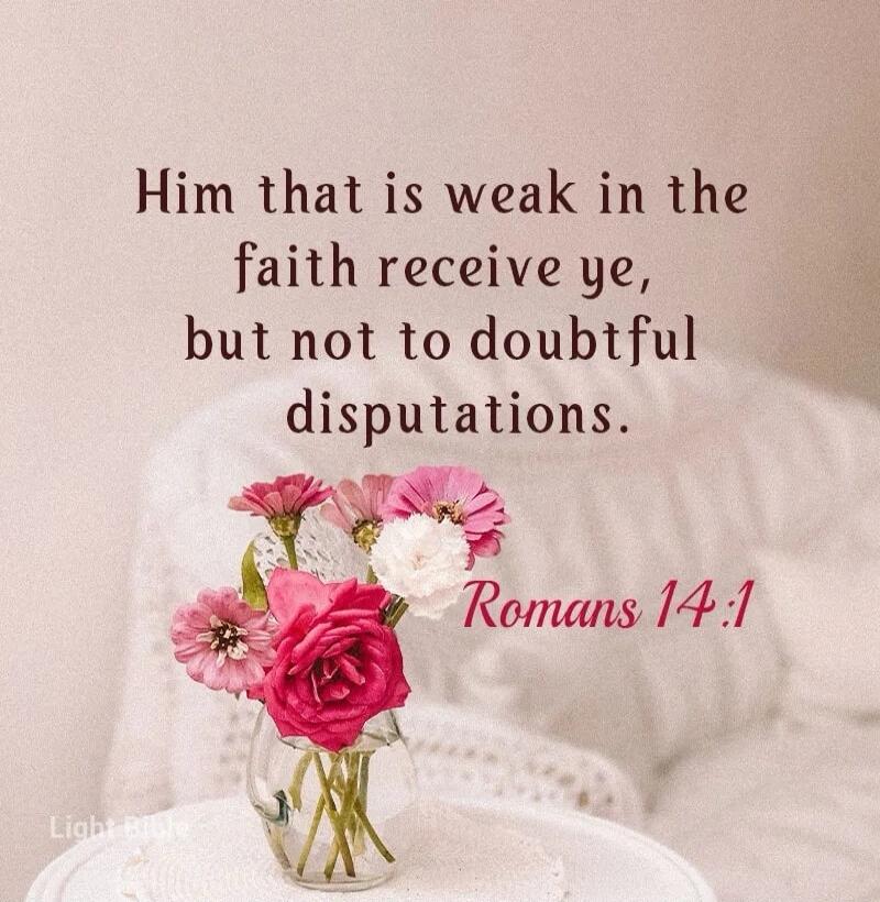 Him that is weak in the faith receive ye, but not to doubtful disputations. Romans 14:1