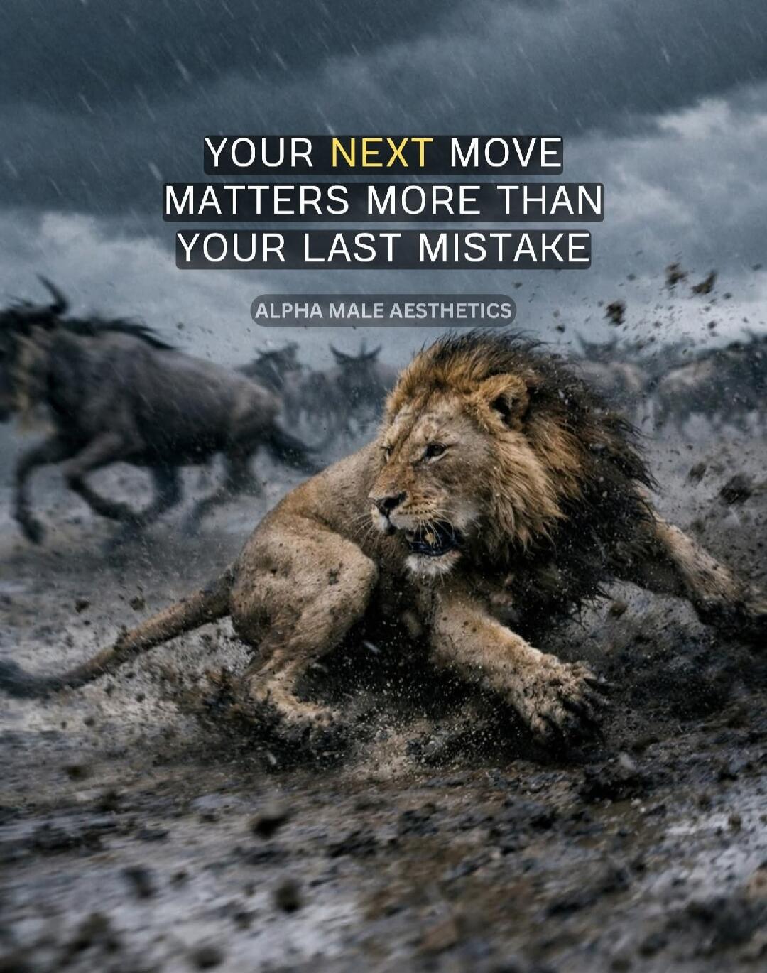 YOUR NEXT MOVE MATTERS MORE THAN YOUR LAST MISTAKE ALPHA MALE AESTHETICS