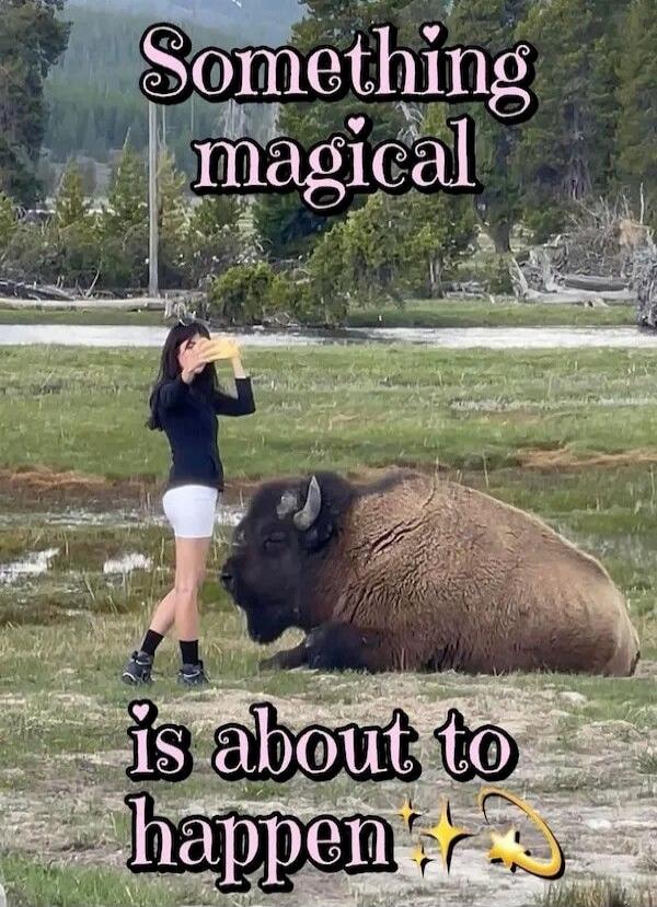 Something magical is about to happen