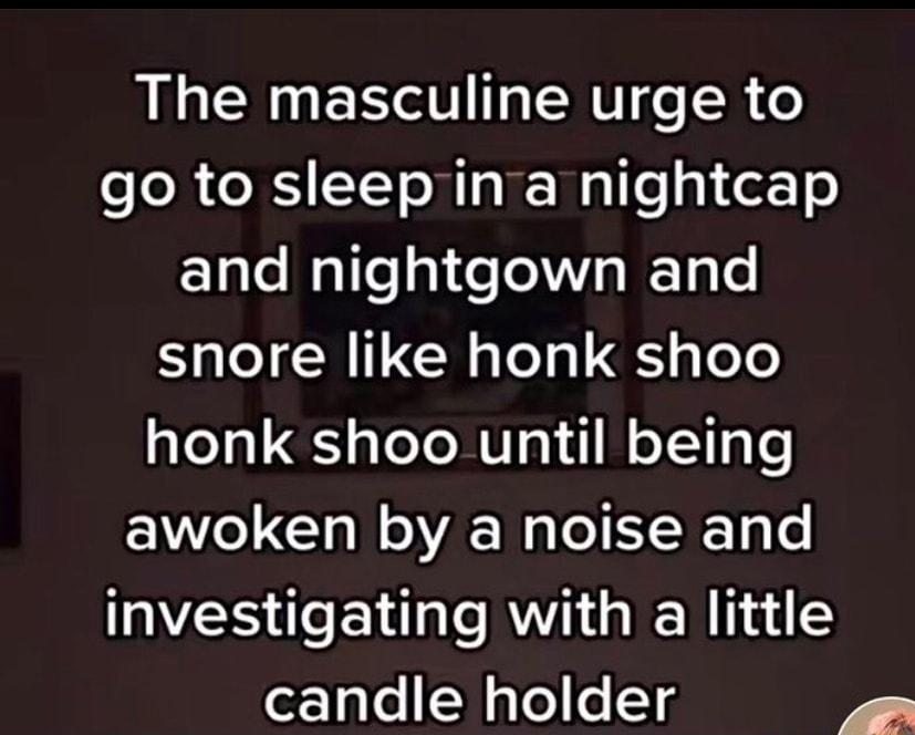 L R ER T ERE e R o e o X e X T o NI gl Walle g etz o E1ale Walle gl e o RT snore like honk shoo ae1a g ToTo MU o W oY gs awoken by a noise and investigating with a little of1a1e Male e o