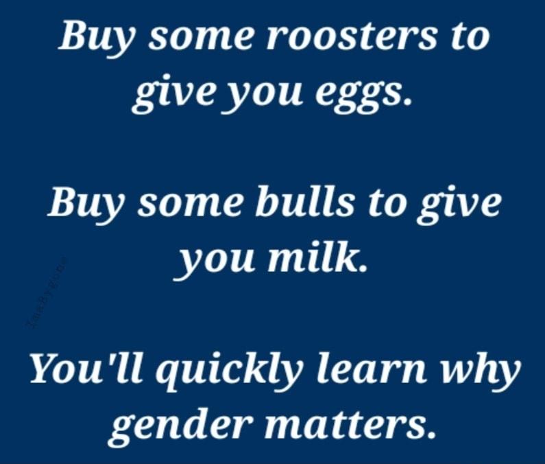 01 TAVCT0 0 a0 Lo X3 0 R FAA RV T T Y Buy some bulls to give you milk Youll quickly learn why gender matters