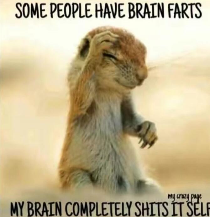 SOME PEOPLE HAVE BRAIN FARTS MY BRAIN COMPLETELY SHITS IT SELF my crazy page