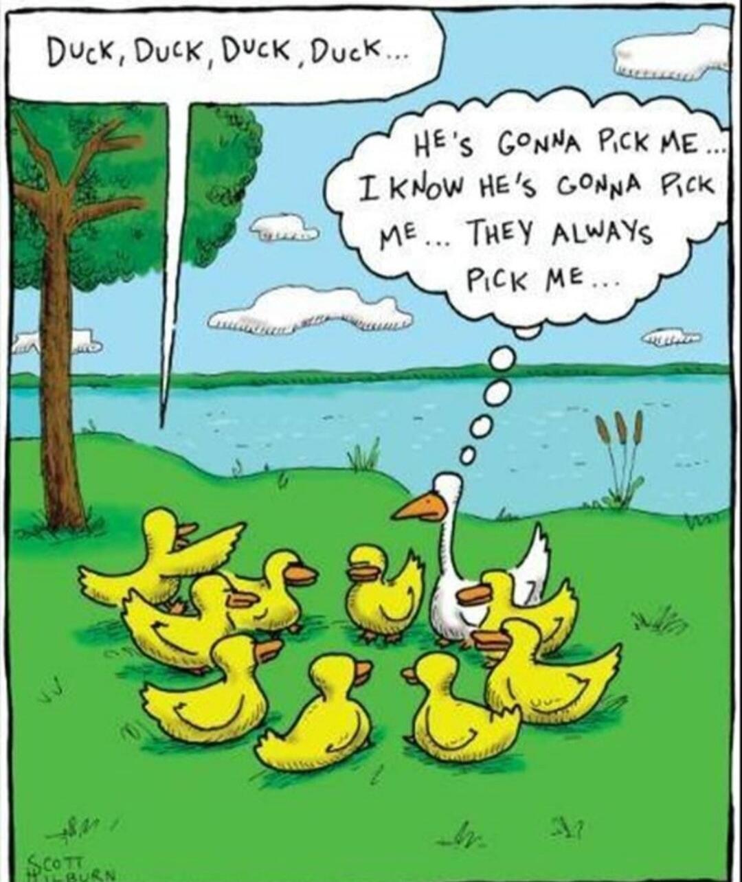 Duck, Duck, Duck, Duck... HE'S GONNA PICK ME... I KNOW HE'S GONNA PICK ME... THEY ALWAYS PICK ME...