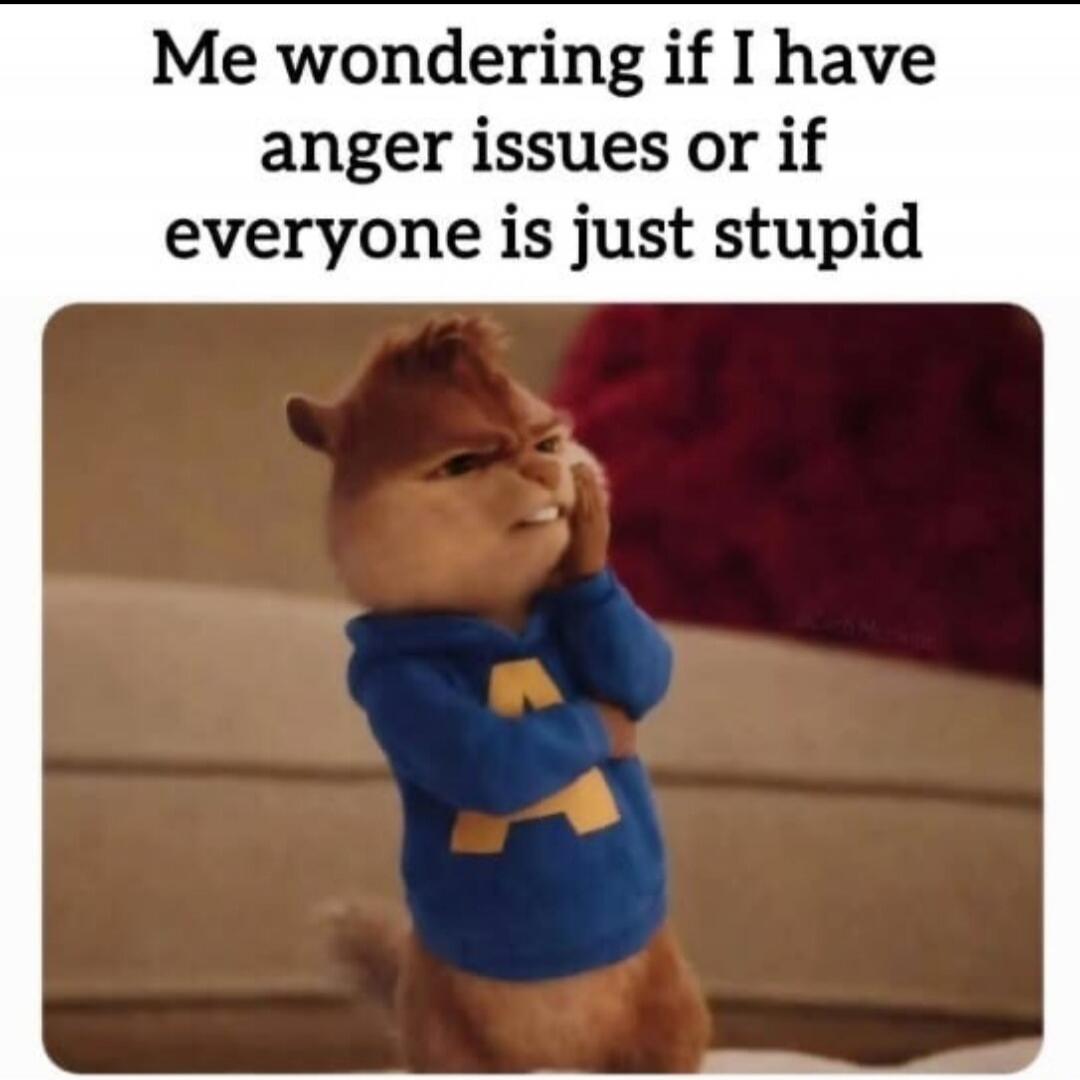 Me wondering if I have anger issues or if everyone is just stupid