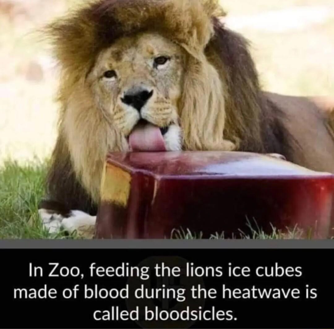 4 Te M0 1Te 13 F R4 TR TeT ERTLN I oI ETeSReT o oTeTs e V53 R IR TN IVN Y called bloodsicles