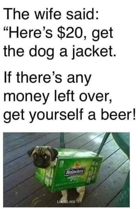 The wife said Heres 20 get the dog a jacket If theres any money left over get yourself a beer