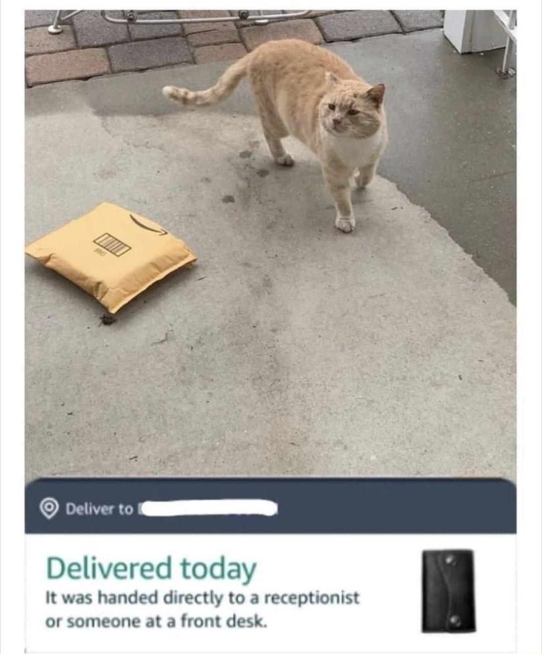 Delivered today It was handed directly to a receptionist or someone at a front desk