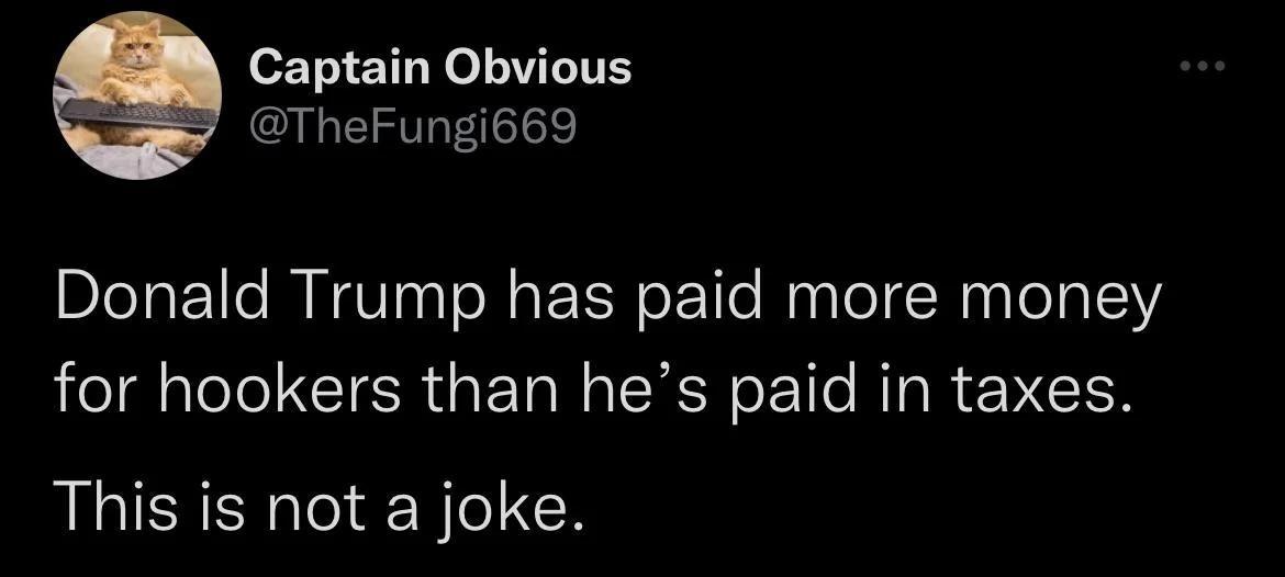 Captain Obvious TheFungi669 Donald Trump has paid more money for hookers than hes paid in taxes This is not a joke