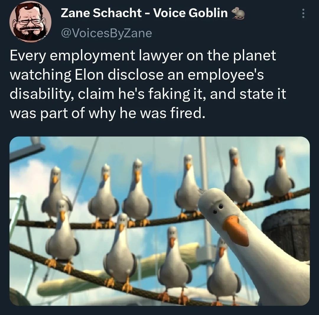 Zane Schacht Voice Goblin VoicesByZane Every employment lawyer on the planet watching Elon disclose an employees disability claim hes faking it and state it was part of why he was fired