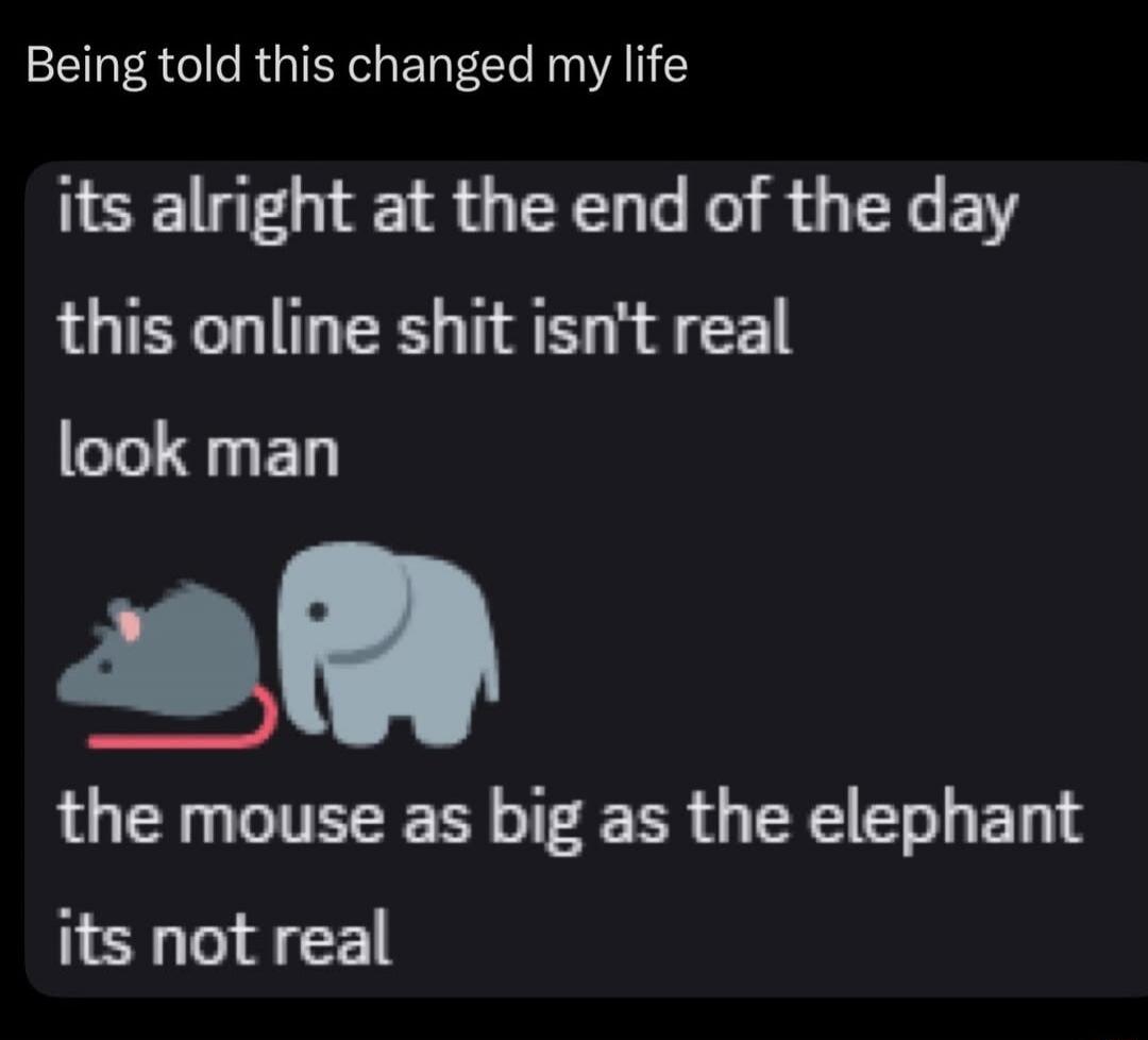Being told this changed my life. It's alright at the end of the day, this online shit isn't real. Look man, the mouse as big as the elephant, it's not real.