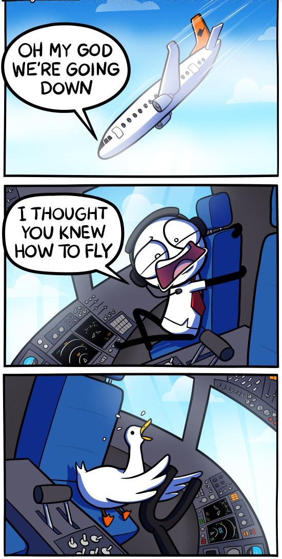 OH MY GOD WERE GOING DOWN 1 THOUGHT YOU KNEW HOW TO FLY