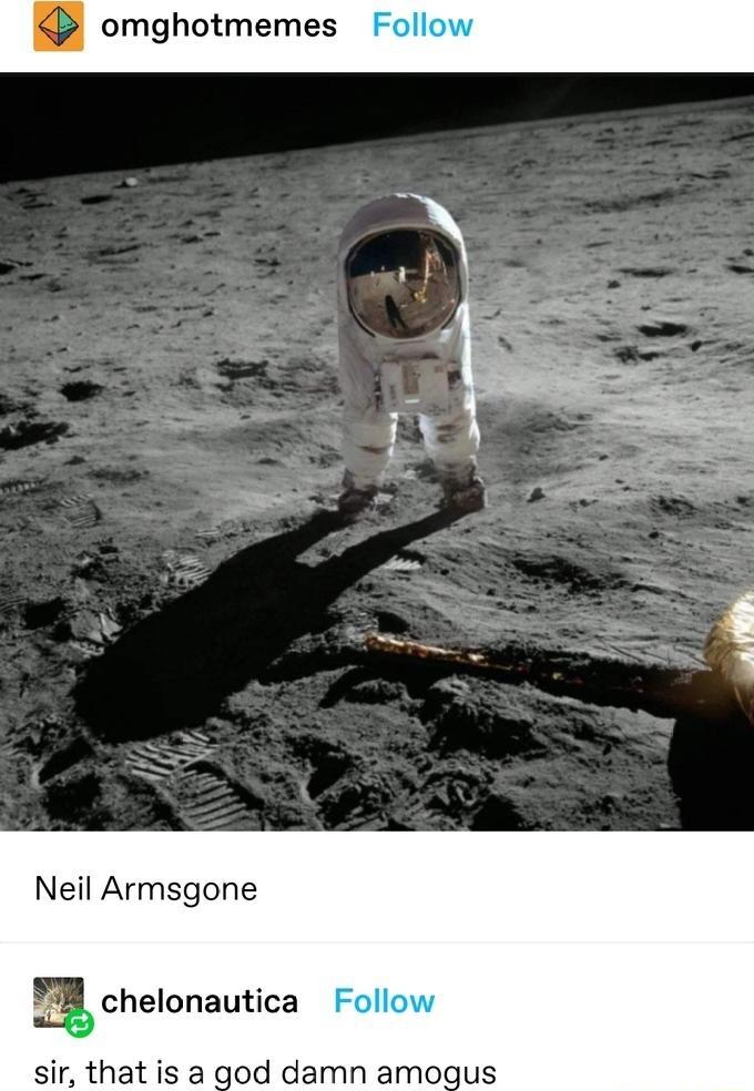 Neil Armsgone achelonautica Follo sir that is a god damn amogus