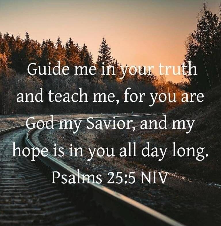 Guide me in your truth and teach me, for you are God my Savior, and my hope is in you all day long. Psalms 25:5 NIV