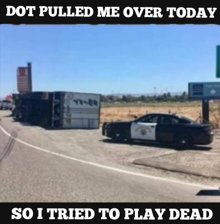 DOT PULLED ME OVER TODAY SO I TRIED TO PLAY DEAD