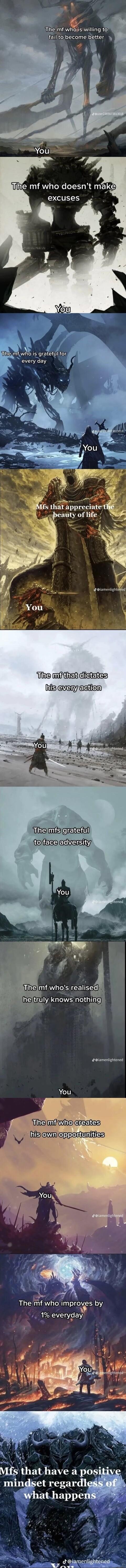 The mf whojis willing 10 fail to become better excuses oK s Bifs that appreciate t L peauty of life b eiamenlighteied e i ek chsEiss hiis evay asiien Themfslgrateful tojfaceladversity v diamenlightened Thenlf who improves by A 1 everyday