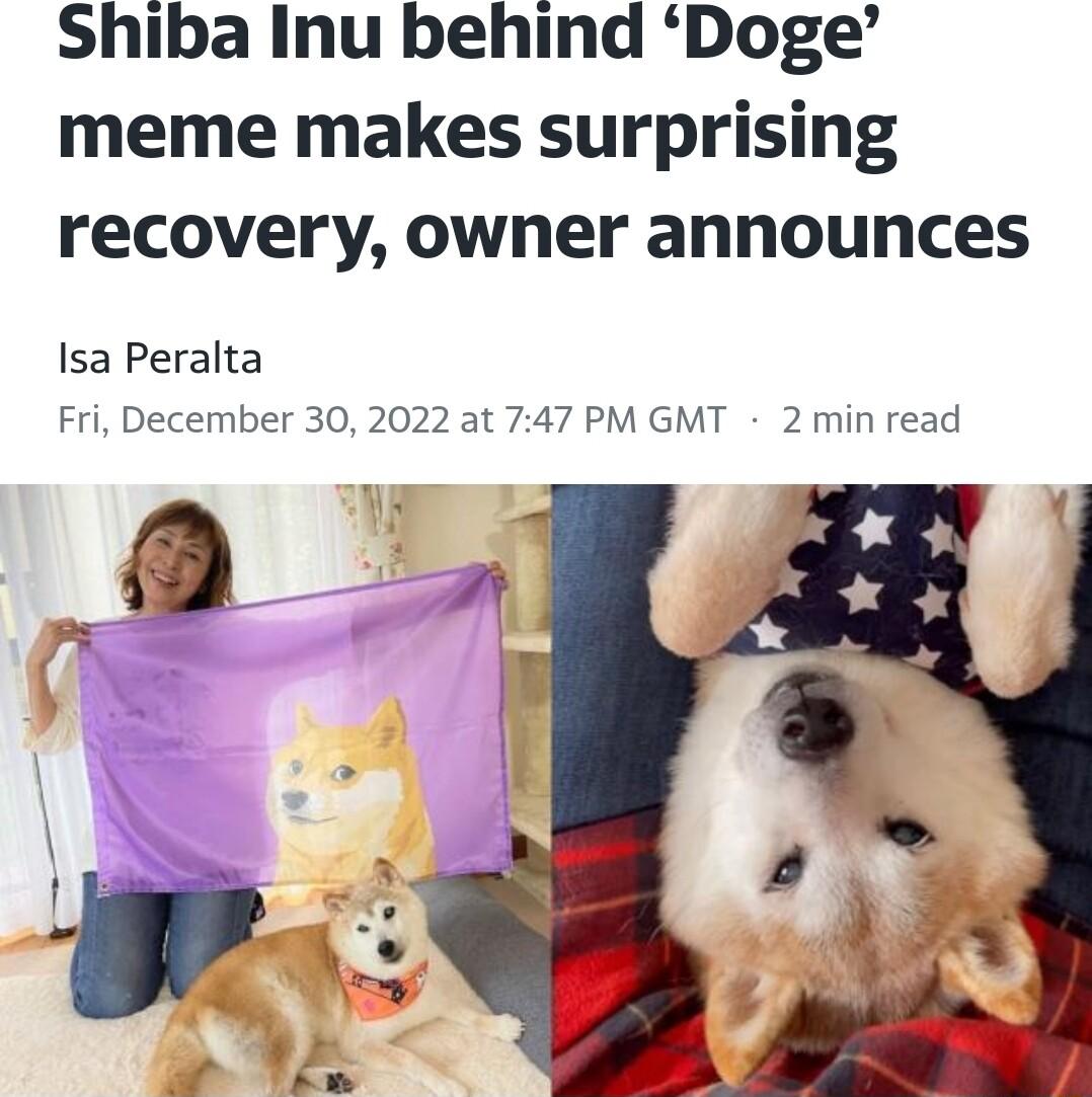 Shiba Inu behind Doge meme makes surprising recovery owner announces Isa Peralta Fri December 30 2022 at 747 PM GMT 2 min read