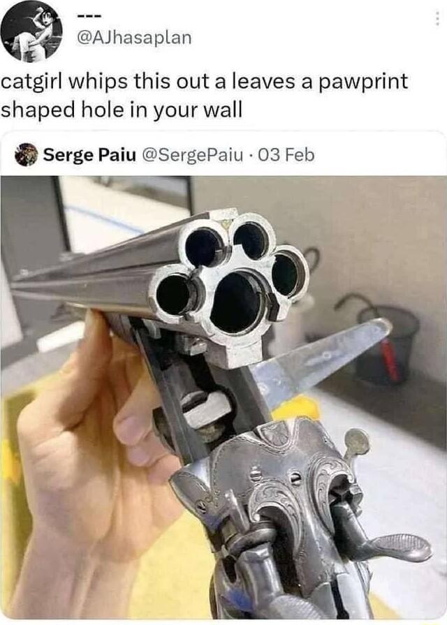 AJhasaplan L3 catgirl whips this out a leaves a pawprint shaped hole in your wall Serge Paiu SergePaiu 03 Feb