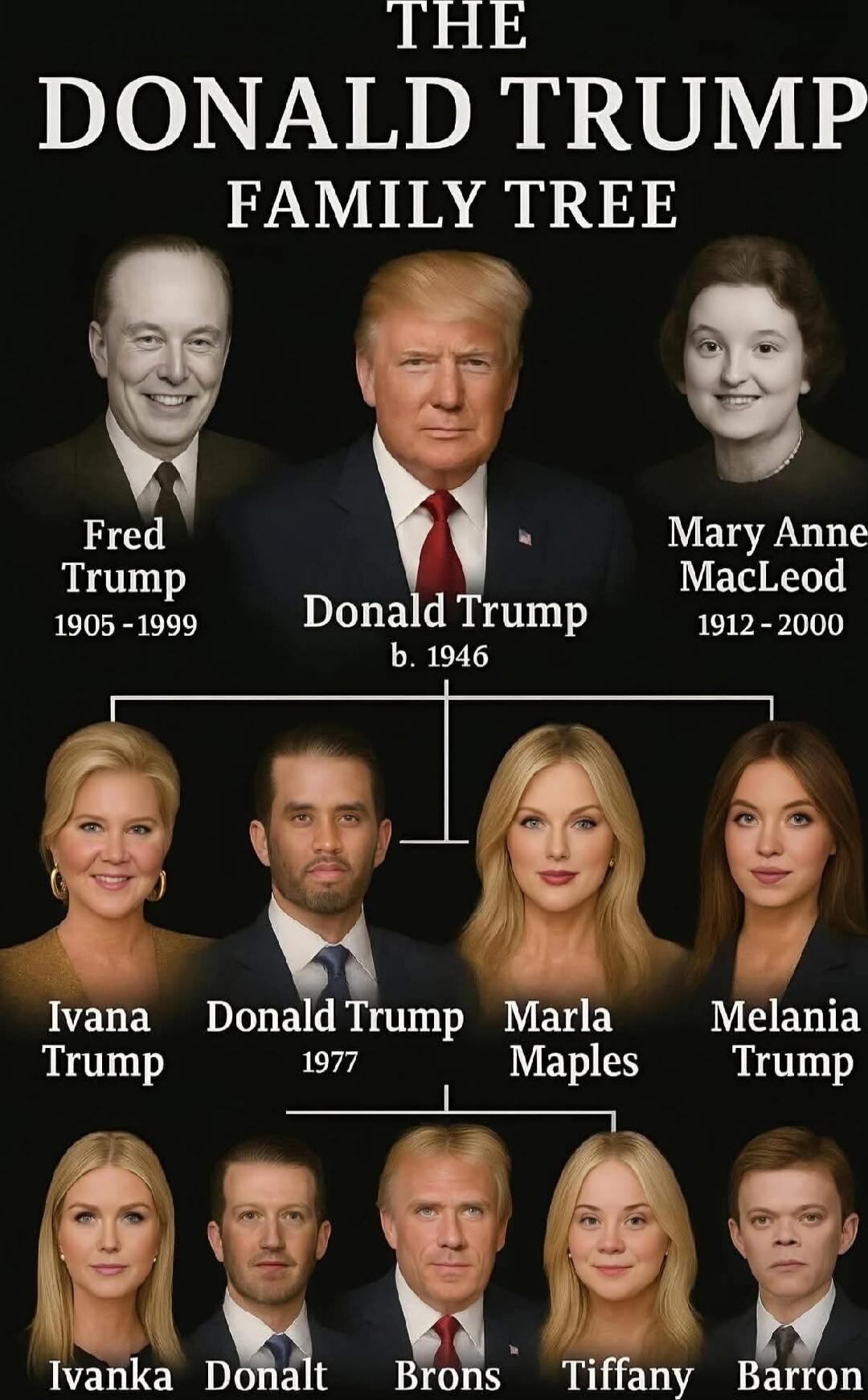 THE DONALD TRUMP FAMILY TREE\nFred Trump 1905-1999\nMary Anne MacLeod 1912-2000\nDonald Trump b. 1946\nIvana Trump\nDonald Trump 1977\nMarla Maples\nMelania Trump\nIvanka\nDonald\nBrons\nTiffany\nBarron