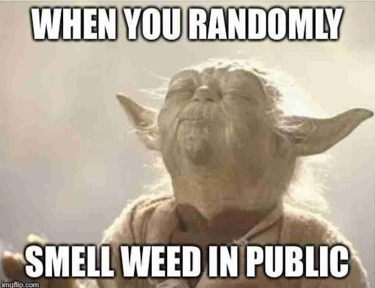 WHEN YOU RANDOMLY SMELL WEED IN PUBLIC