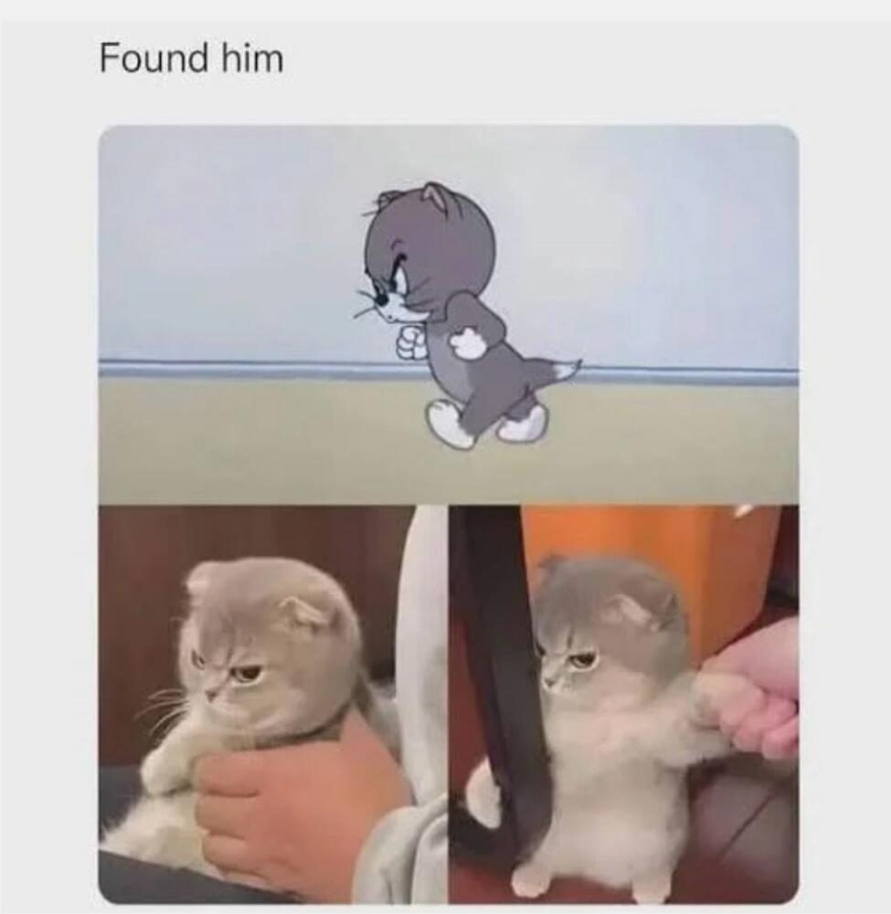 Found him