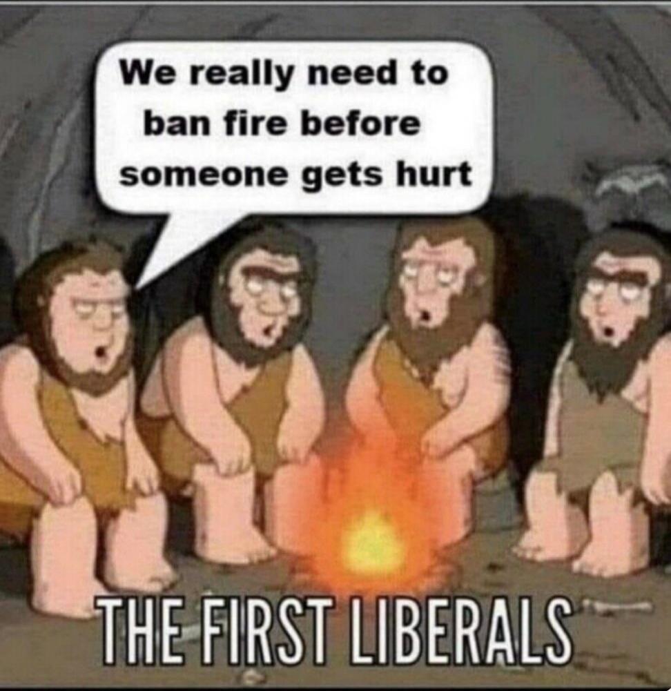 We really need to ban fire before someone gets hurt THE FIRST LIBERALS