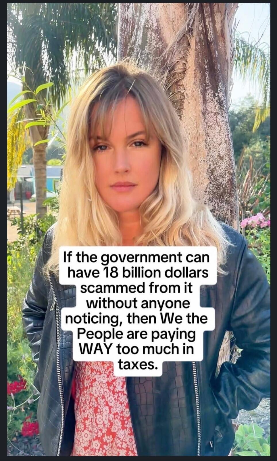 If the government can have 18 billion dollars scammed from it without anyone noticing, then We the People are paying WAY too much in taxes.