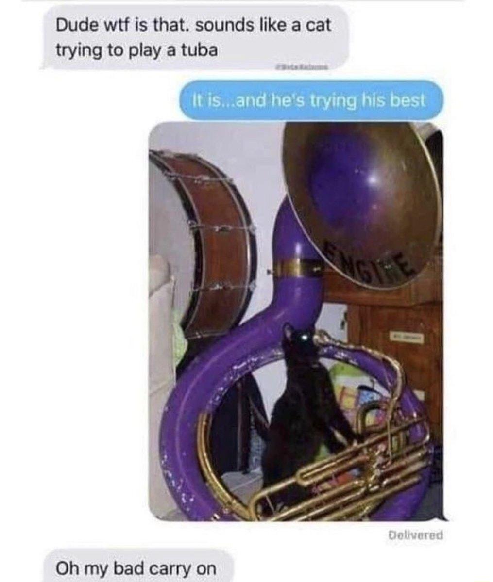 Dude wtf is that sounds like a cat trying to play a tuba Oh my bad carry on