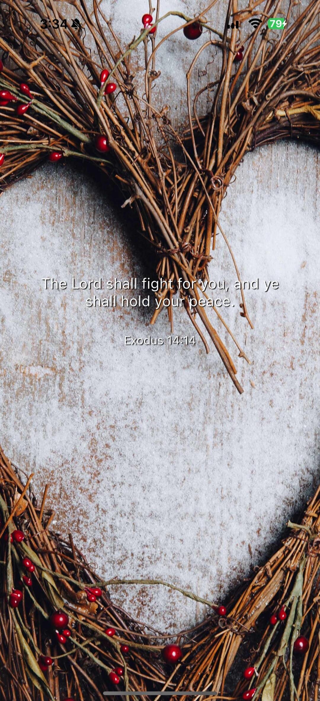 The Lord shall fight for you, and ye shall hold your peace. Exodus 14:14