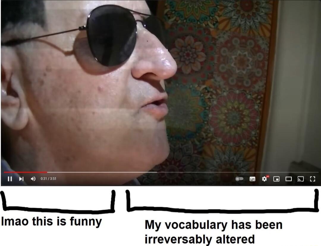 Imao this is funny My vocabulary has been irreversably altered