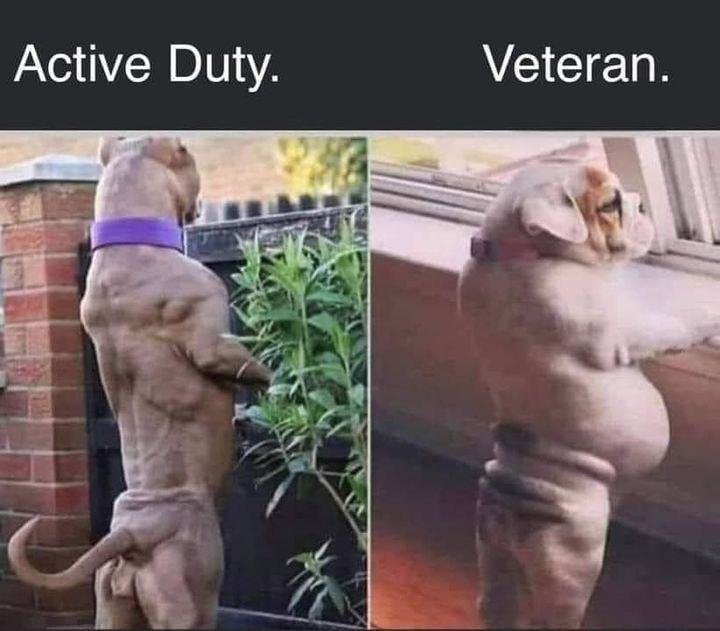 JAYei YH DIV AT Veteran