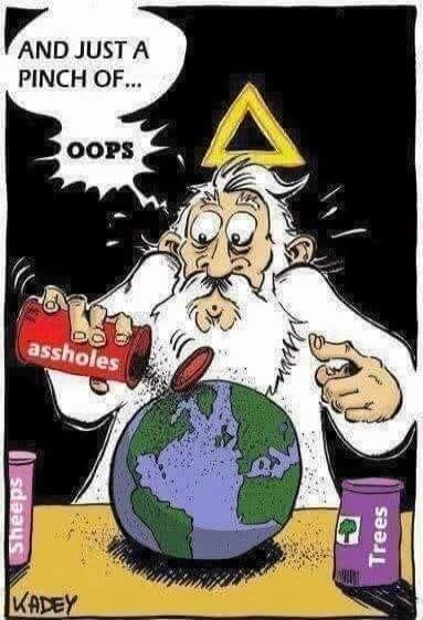 AND JUST A PINCH OF... OOPS assholes Sheeps Trees KADEY