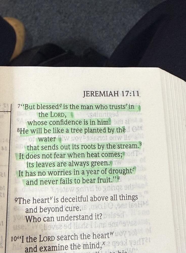 But blessed is the man who trusts in the LORD, whose confidence is in him. He will be like a tree planted by the water that sends out its roots by the stream. It does not fear when heat comes; its leaves are always green. It has no worries in a year of drought and never fails to bear fruit.