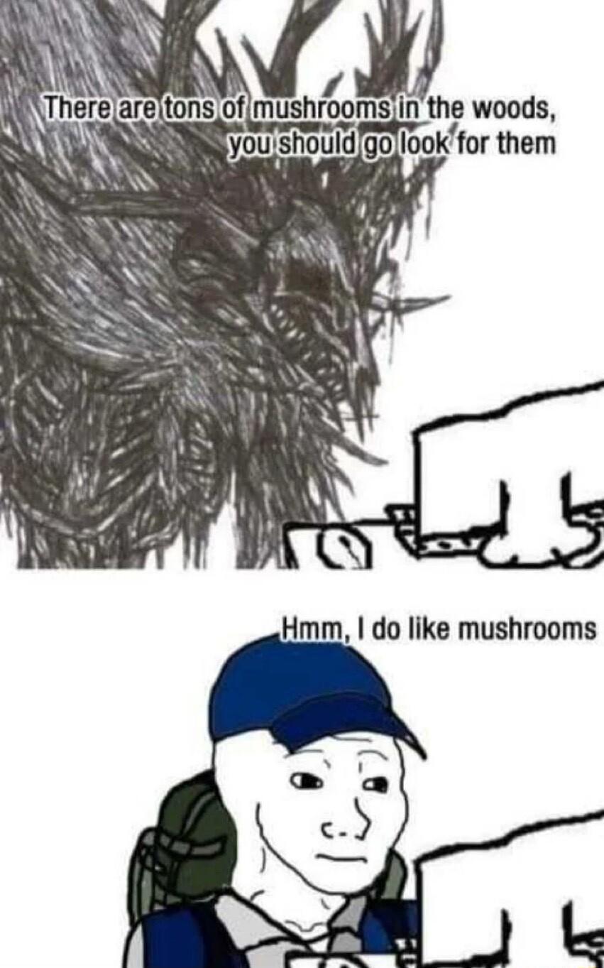 Y mushroms inthe woods youshouldgollookfor them W Hmm do like mushrooms