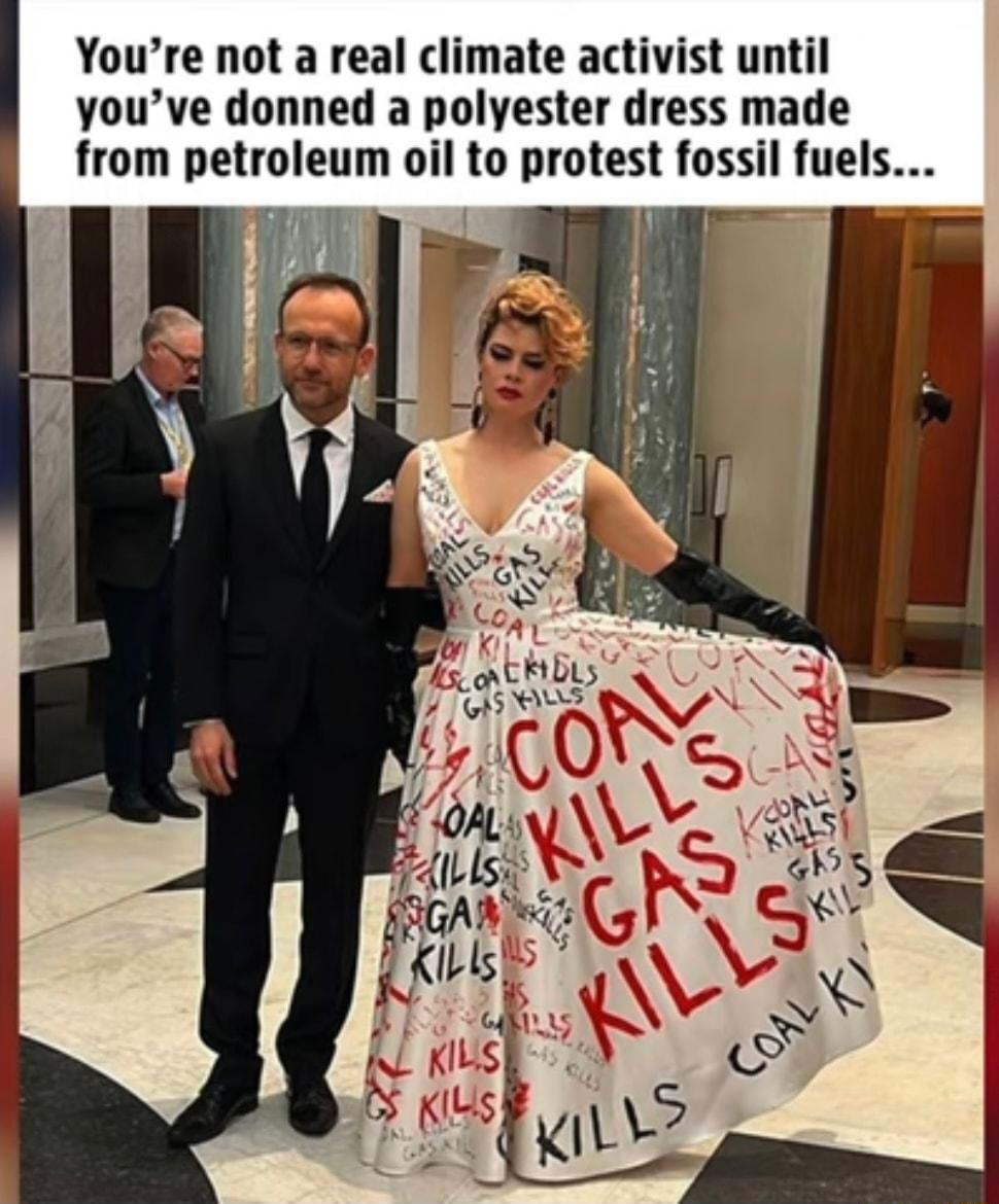 Youre not a real climate activist until youve donned a polyester dress made from petroleum oil to protest fossil fuels