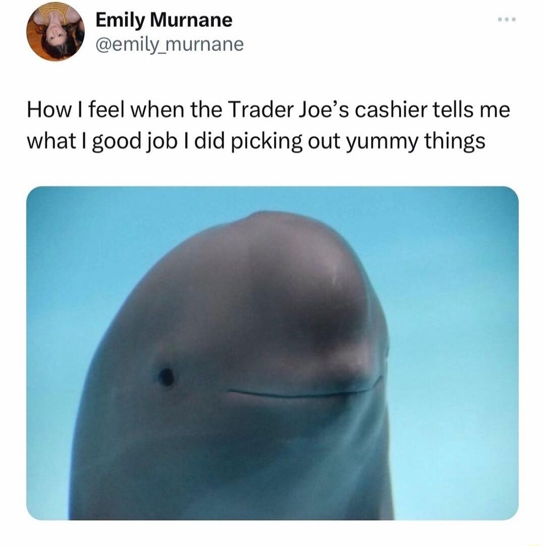 Emily Murnane emily murnane How feel when the Trader Joes cashier tells me what good job did picking out yummy things F