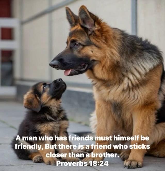 A man who has friends must himself be friendly, But there is a friend who sticks closer than a brother. Proverbs 18:24