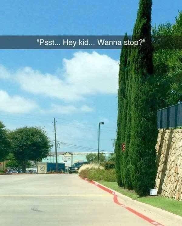 Psst Hey kid Wanna stop