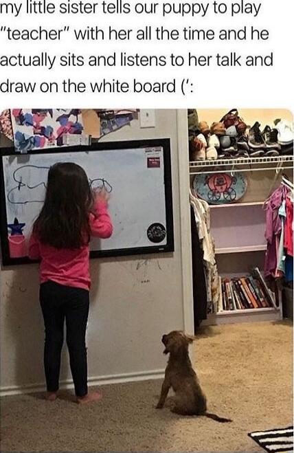 my little sister tells our puppy to play 'teacher' with her all the time and he actually sits and listens to her talk and draw on the white board (':