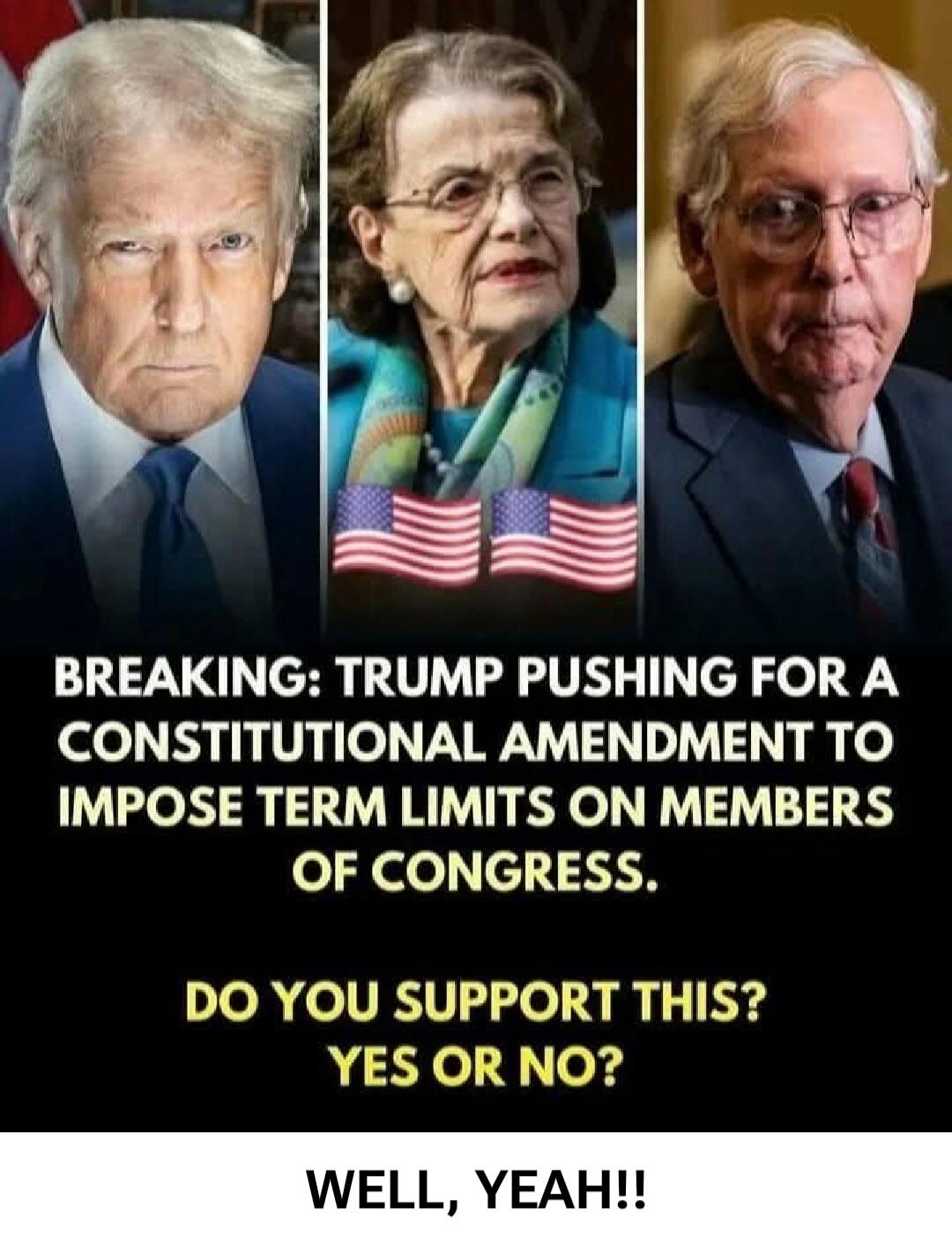 BREAKING: TRUMP PUSHING FOR A CONSTITUTIONAL AMENDMENT TO IMPOSE TERM LIMITS ON MEMBERS OF CONGRESS. DO YOU SUPPORT THIS? YES OR NO? WELL, YEAH!!