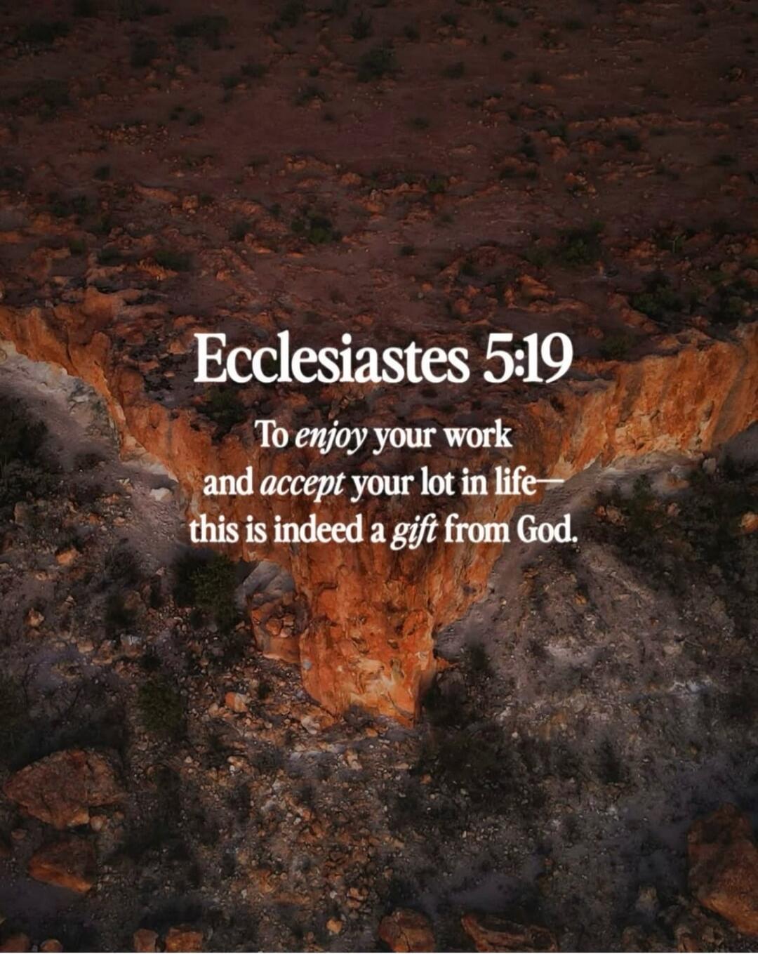 Ecclesiastes 5:19 To enjoy your work and accept your lot in life— this is indeed a gift from God.