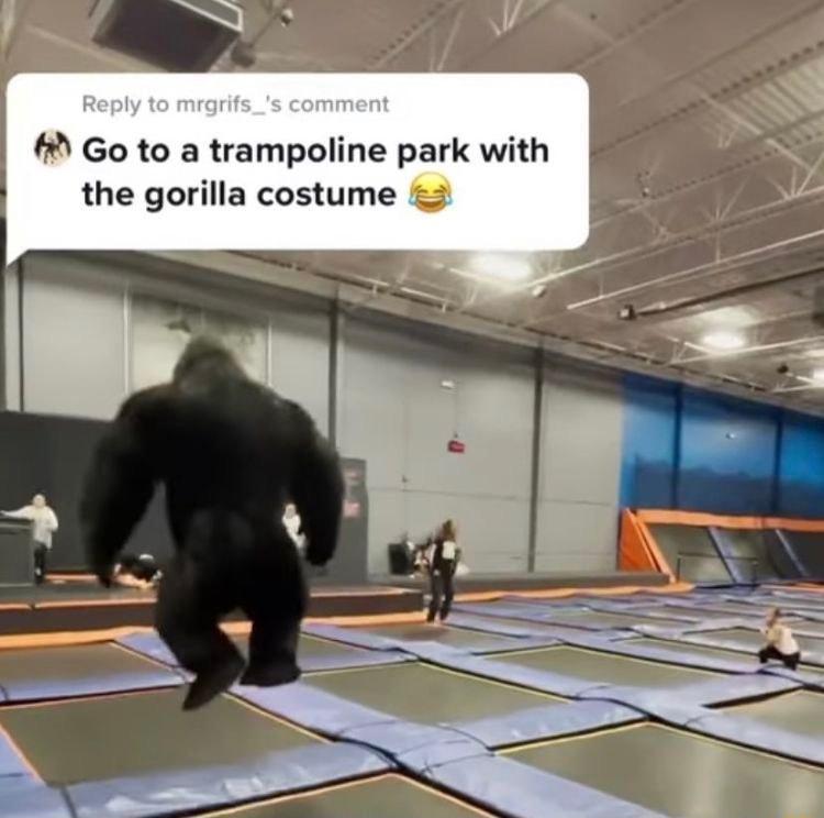 b8 M Go to a trampoline park with the gorilla costume